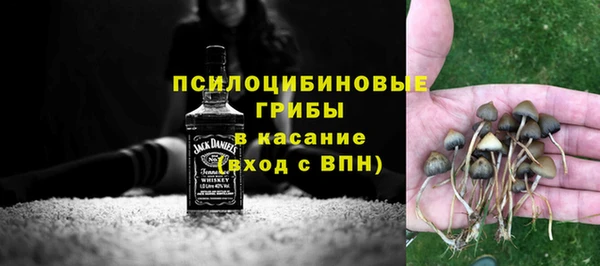 ALPHA-PVP Богородицк