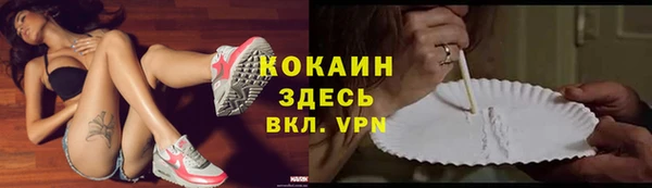 амф Богданович